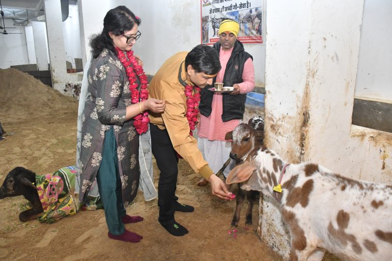 05_Gaushala (2)