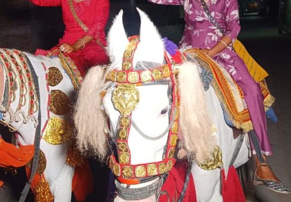 WhatsApp Image 2026-04-18 at 1.03.42 AM